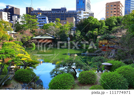 【兵庫県】晴天の相楽園 【兵庫県】晴天の相楽園 111774971