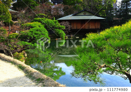 【兵庫県】晴天の相楽園 【兵庫県】晴天の相楽園 111774980