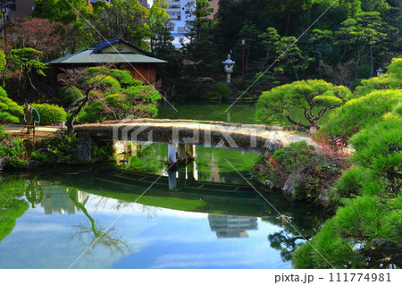 【兵庫県】晴天の相楽園 【兵庫県】晴天の相楽園 111774981