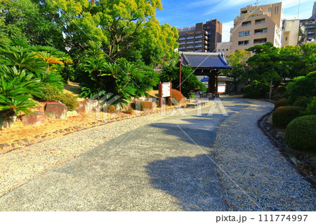 【兵庫県】晴天の相楽園(蘇鉄園と正門) 【兵庫県】晴天の相楽園(蘇鉄園と正門) 111774997