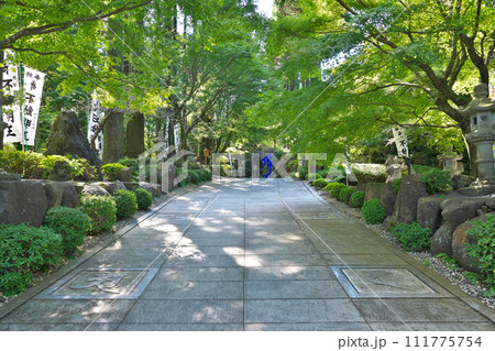 【青隆寺】 鹿児島県指宿市小牧 111775754