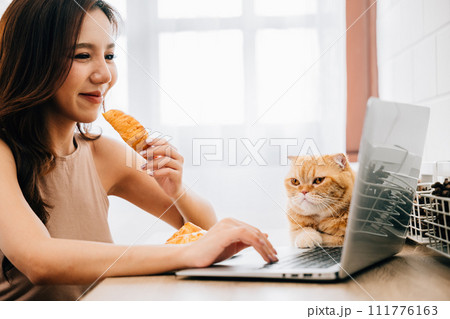 A young woman working diligently at her desk with a laptop, accompanied by her cuddly Scottish Fold cat. Their bond showcases the beauty of work and pet friendship. A young woman working diligently at her desk with a laptop, accompanied by her cuddly Scottish Fold cat. Their bond showcases the beauty of work and pet friendship. 111776163