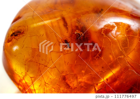 Macro stone mineral amber with insects, flies and beetles on a white background close up Macro stone mineral amber with insects, flies and beetles on a white background close up 111776497