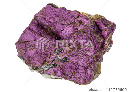 Macro mineral stone purpureus, (purple) purpurite in the breed a white background Macro mineral stone purpureus, (purple) purpurite in the breed a white background 111776606