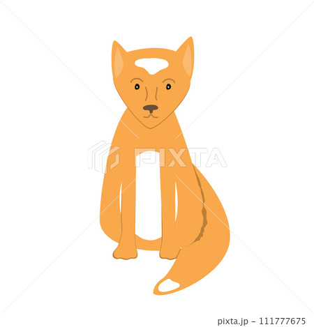 Cute and amazed baby fox. Adorable fox cartoon vector illustration isolated on white background. Cute and amazed baby fox. Adorable fox cartoon vector illustration isolated on white background. 111777675