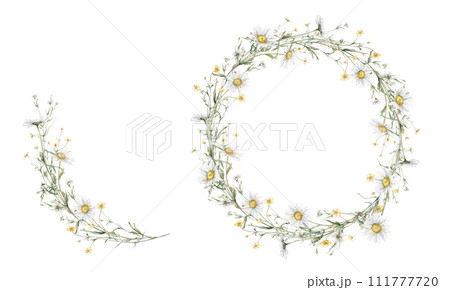 Wreath of yellow and white flower meadow, forest flowers.Watercolor hand painting illustration on isolate. Circlet of flowers with daisy or chamomile. Botanical summer wildflower Wreath of yellow and white flower meadow, forest flowers.Watercolor hand painting illustration on isolate. Circlet of flowers with daisy or chamomile. Botanical summer wildflower 111777720