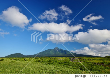 利尻島の夏景色 111777933