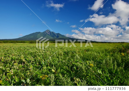 利尻島の夏景色 利尻島の夏景色 111777936
