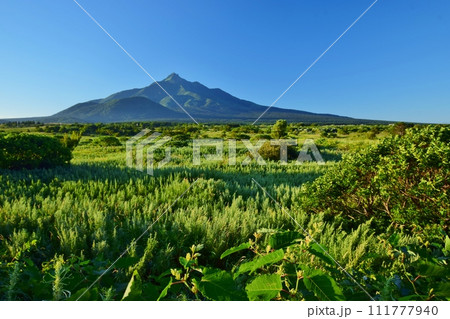 利尻島の夏景色 111777940