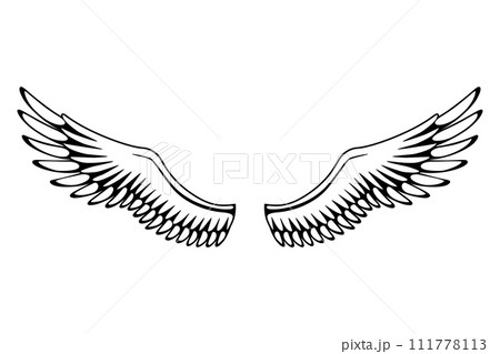 Wings sketch. Stylized birds wings. Hand drawn contoured stiker wing in open position. Vector design elements in coloring style 111778113