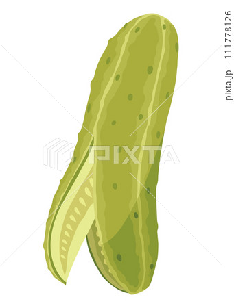 Homemade pickled cucumber. Clip-art of marinated food for packaging, label, menu, signboard or showcase. Fermented veggies, crunch gherkin with salt. Healthy vegetarian food Homemade pickled cucumber. Clip-art of marinated food for packaging, label, menu, signboard or showcase. Fermented veggies, crunch gherkin with salt. Healthy vegetarian food 111778126
