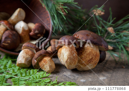Imleria Badia or Boletus badius mushrooms commonly known as the bay bolete and clay bowl with mushrooms on vintage wooden background. Imleria Badia or Boletus badius mushrooms commonly known as the bay bolete and clay bowl with mushrooms on vintage wooden background. 111778868