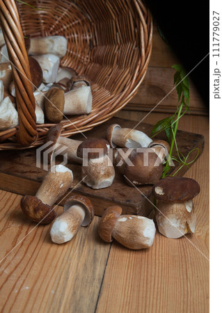 Pile of wild porcini mushrooms on wooden background at autumn season.. Pile of wild porcini mushrooms on wooden background at autumn season.. 111779027
