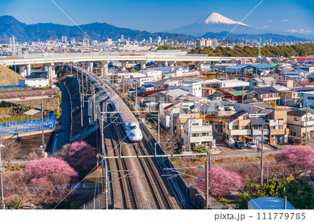 （静岡県）紅梅咲く静岡市郊外から眺める、新幹線と富士山 111779785