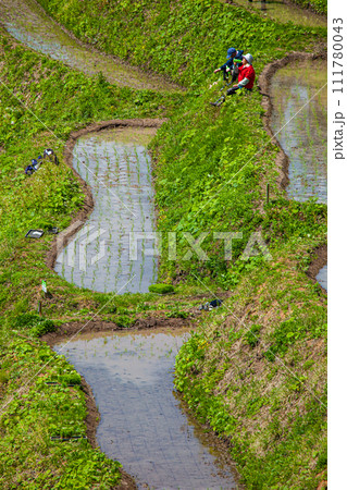 【新潟県･佐渡･小倉千枚田】美しい景観の中で米作り体験 111780043
