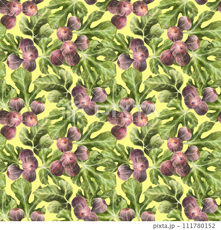 Branch of juicy, ripe purple figs with leaves and whole. Plant seamless pattern Clipart for packaging, wallpaper, textiles, fabric watercolor painted illustration. Isolated coloured background 111780152