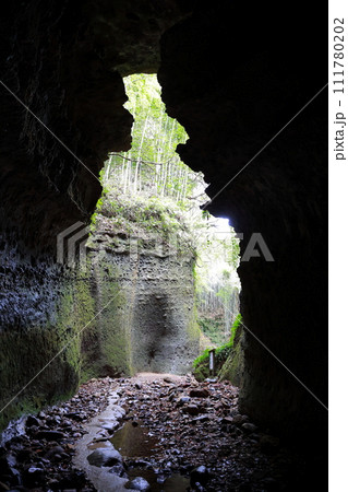 伊尾木洞 111780202