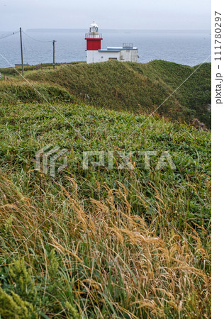 北海道/ 日本の灯台50選 春の花咲灯台 111780297