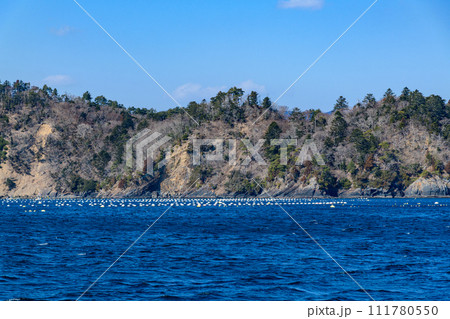 宮城 女川町と出島江島の離島航路 111780550