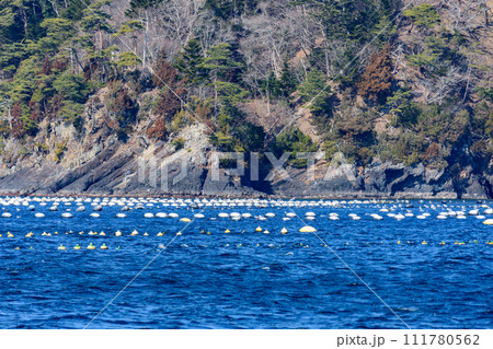 宮城 女川町と出島江島の離島航路 宮城 女川町と出島江島の離島航路 111780562