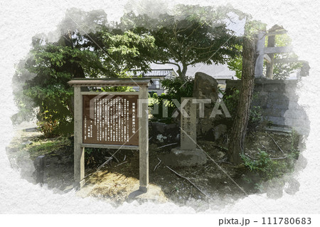 水彩画風　上越　本願寺国府別院　親鸞聖人袈裟懸けの松　新潟県上越市 111780683
