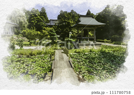 水彩画風　上越　林泉寺　境内　新潟県上越市 111780758