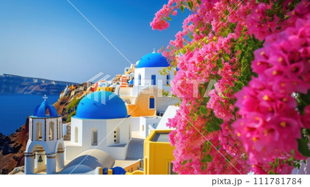 Colorful pretty pink Bougainvillea blooming with white and yellow buildings 111781784