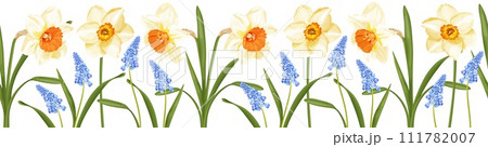 Floral seamless border with spring flowers blue hyacinth and daffodils. 111782007