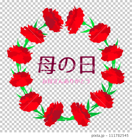 母の日　カーネーションのリース 111782545