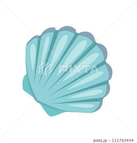 illustration of a seashell in realism, marine flora and fauna 111783434