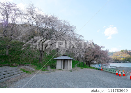 長野県伊那市高遠町_高遠湖3_2023_4月 長野県伊那市高遠町_高遠湖3_2023_4月 111783669