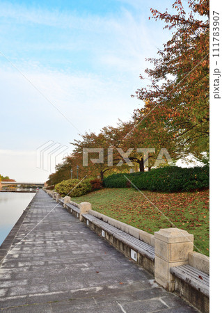 新潟県立スポーツ公園の紅葉（新潟県） 111783907