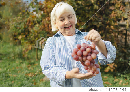 Portrait of smiling Caucasian 50s woman holding grape healthy food outdoors. Senior woman eating grapes. People, food and drink, lifestyle concept. 111784141