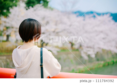 春の京都観光で桜を見る若い女性 111784392