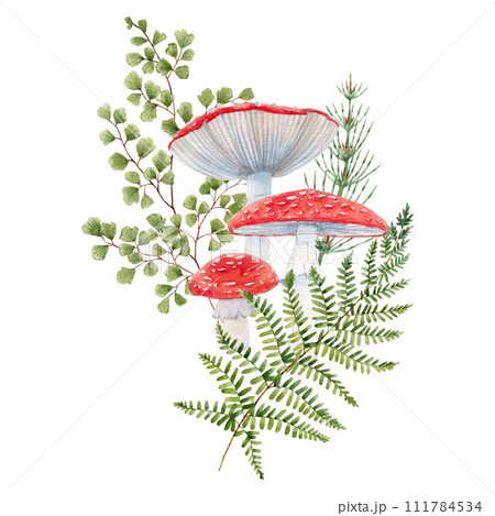 Beautiful stock illustration with watercolor hand drawn forest fly agaric amanita mushroom with plant leaves. Clip art nature illustration. 111784534
