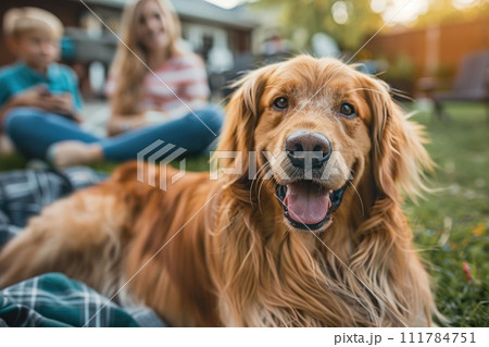 A family and a cheerful golden retriever enjoying a afternoon together in the backyard. Generative AI. 111784751