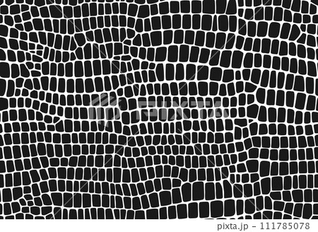 Crocodile, dinosaur and snake skin pattern, reptile animal leather background. Vector monochrome seamless texture with distinctive scales and smooth surface, conveying sophistication and elegance 111785078