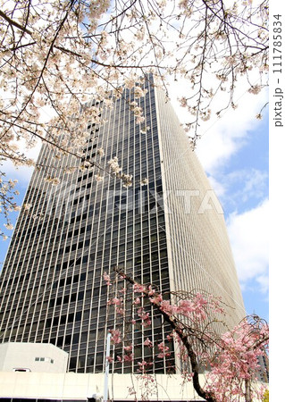 梅田ビル街と桜 梅田ビル街と桜 111785834
