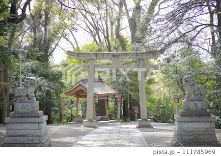 谷保天満宮 111785969