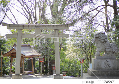 谷保天満宮 111785971