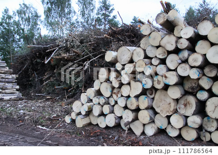 Chopped firewood in the countryside. 111786564
