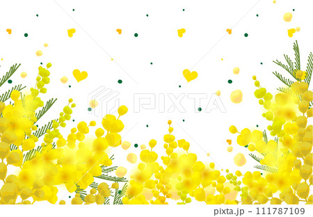 Yellow mimosa flower symbol womens day spring and love 111787109