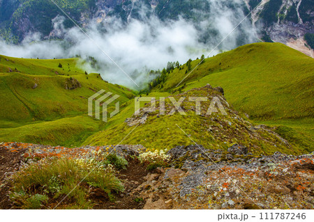 landscape with hills, rocks, trees and fog 111787246