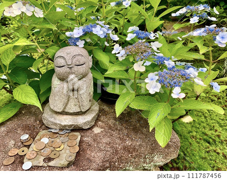 紫陽花に囲まれた小さなお地蔵さま〈本光寺/愛知県幸田町〉 紫陽花に囲まれた小さなお地蔵さま〈本光寺/愛知県幸田町〉 111787456