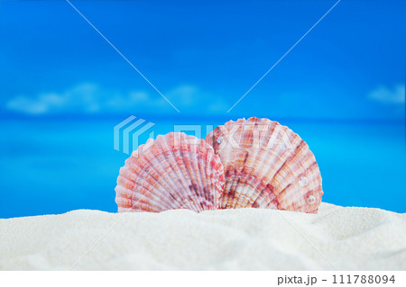 Sea pink shells on sandy beach, behind sea. Concept of vacation, travel in hot countries. Holiday heart. Copy space Sea pink shells on sandy beach, behind sea. Concept of vacation, travel in hot countries. Holiday heart. Copy space 111788094