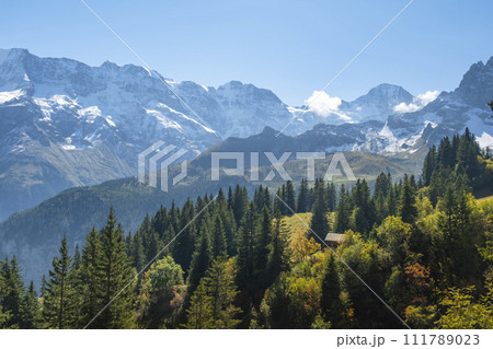 Traditional alpine village in touristic valley Lauterbrunnen, Switzerland attraction Traditional alpine village in touristic valley Lauterbrunnen, Switzerland attraction 111789023