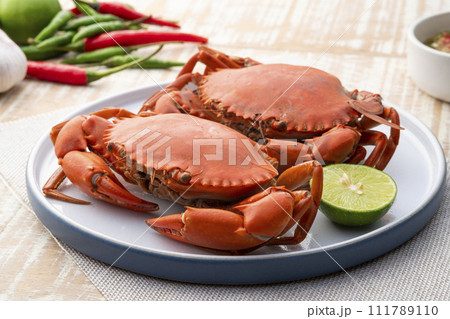 Steamed Crab,Boiled Serrated mud crab in a plate with seafood sauce 111789110