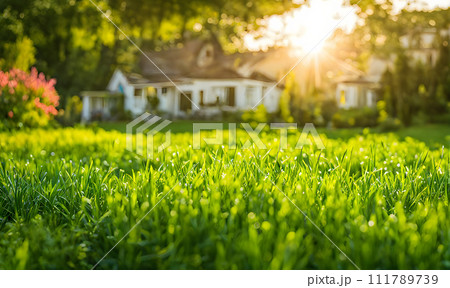 Backyard expanse, vibrant green neatly trimmed grass showcasing an area Backyard expanse, vibrant green neatly trimmed grass showcasing an area 111789739