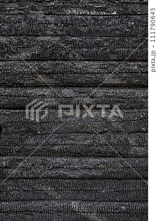 Texture, background, pattern of a charred log wall of a burned-out wooden house. Vertical image. 111790645