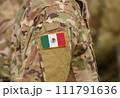 Mexico flag on soldiers arm (collage). 111791636